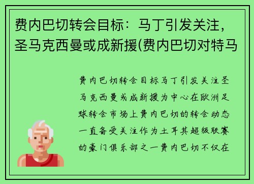 费内巴切转会目标：马丁引发关注，圣马克西曼或成新援(费内巴切对特马卡比)