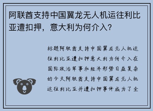 阿联酋支持中国翼龙无人机运往利比亚遭扣押，意大利为何介入？