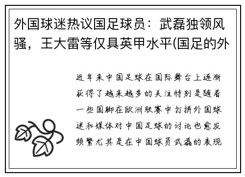 外国球迷热议国足球员：武磊独领风骚，王大雷等仅具英甲水平(国足的外国球迷)