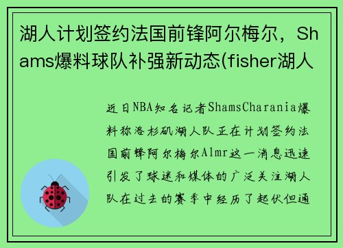 湖人计划签约法国前锋阿尔梅尔，Shams爆料球队补强新动态(fisher湖人)
