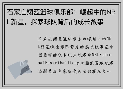 石家庄翔蓝篮球俱乐部：崛起中的NBL新星，探索球队背后的成长故事